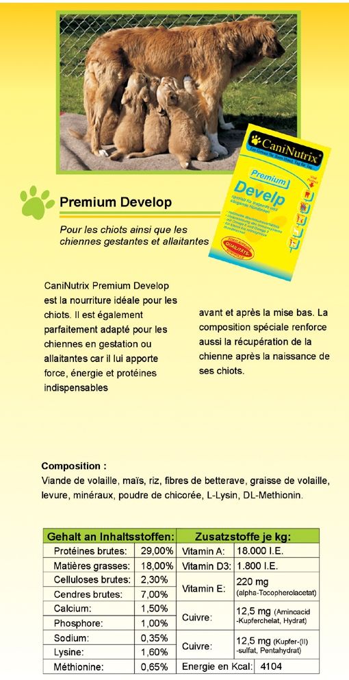 D&eacute;tail premium develop
