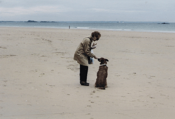complicit&eacute; entre l'Homme et le chien