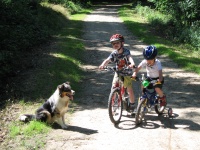 enfants à vélo